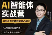 秋叶：AI智能体实战营，6月最新完结版 价值3980元